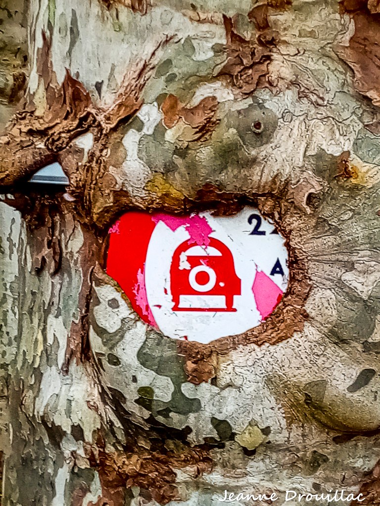 Le club photo du collège a photographié son village !